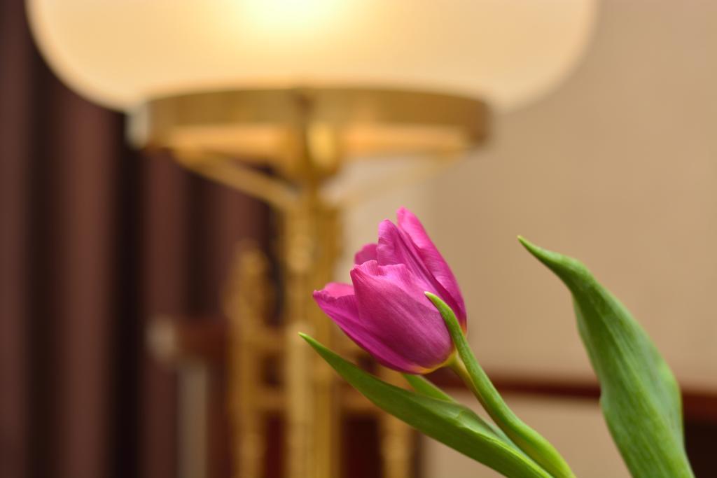 Boutique Hotel Villa Mtiebi Τυφλίδα Εξωτερικό φωτογραφία